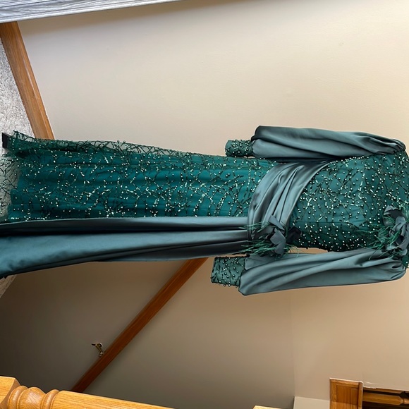 gizemkis Dresses & Skirts - Emerald Green ball gown with feather and pearls. Gizemkis size 42.